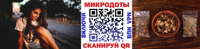 Галлюциногенные грибы GOLDEN TEACHER  где можно купить   Чекалин 